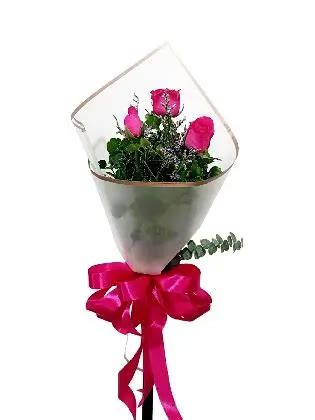 Send Flowers to Las Pinas .